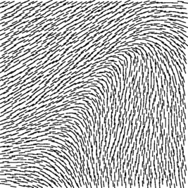 Vector field of two segments